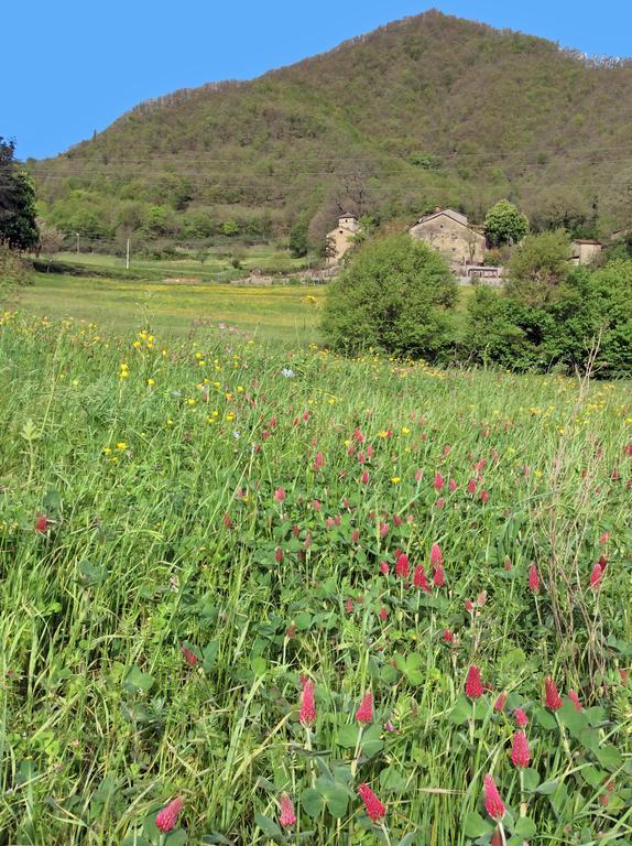 Pieve Di Ca Maggiore Firenzuola Luaran gambar